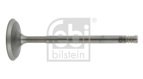 Intake Valve